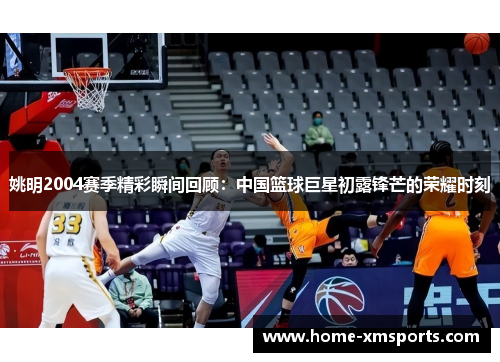 姚明2004赛季精彩瞬间回顾：中国篮球巨星初露锋芒的荣耀时刻