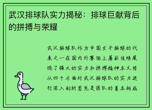 武汉排球队实力揭秘：排球巨献背后的拼搏与荣耀